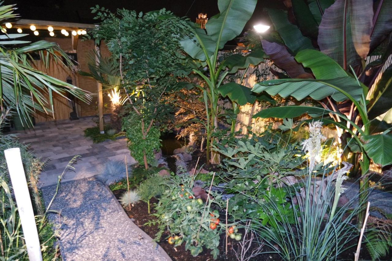 Jungle Stay In A Hidden Paradise Zwijndrecht Exteriér fotografie