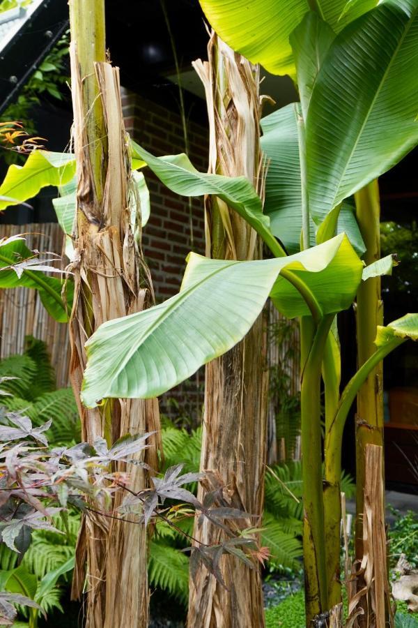 Jungle Stay In A Hidden Paradise Zwijndrecht Exteriér fotografie