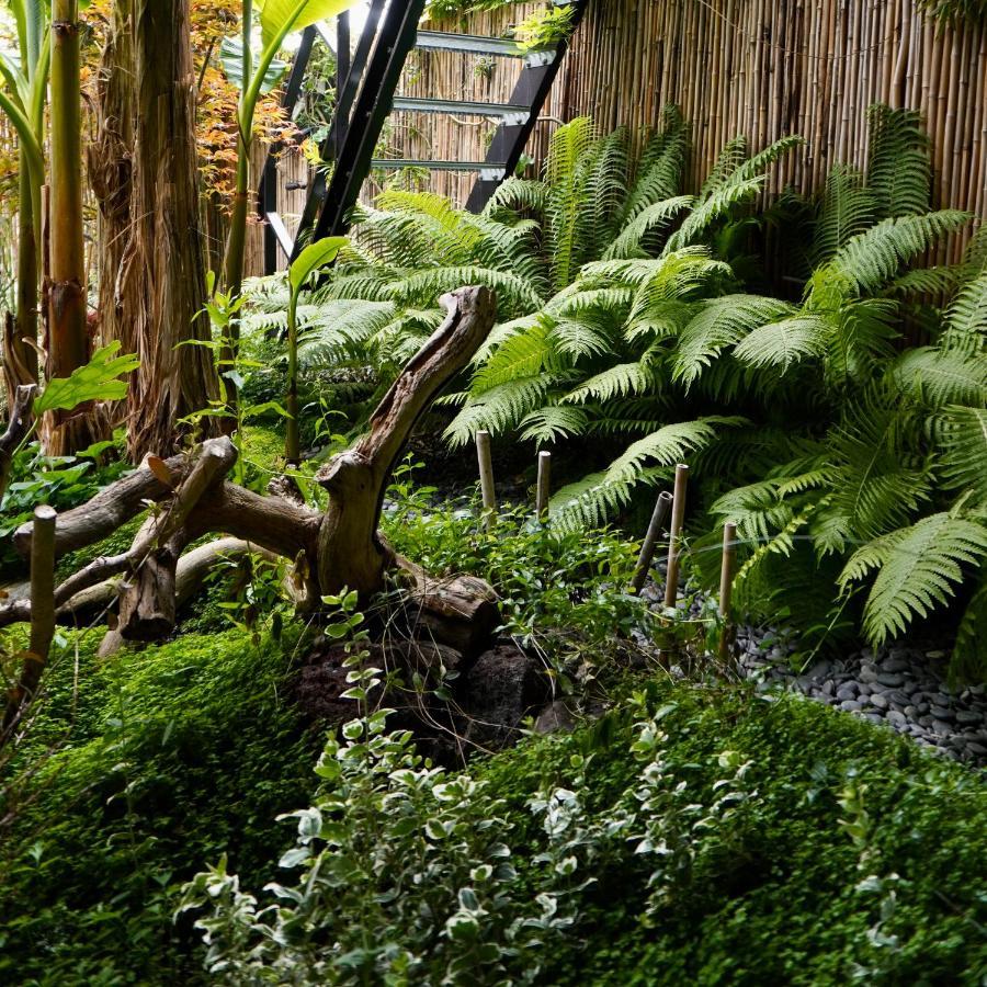 Jungle Stay In A Hidden Paradise Zwijndrecht Exteriér fotografie