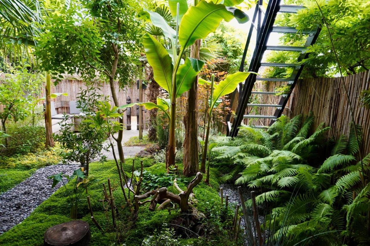 Jungle Stay In A Hidden Paradise Zwijndrecht Exteriér fotografie