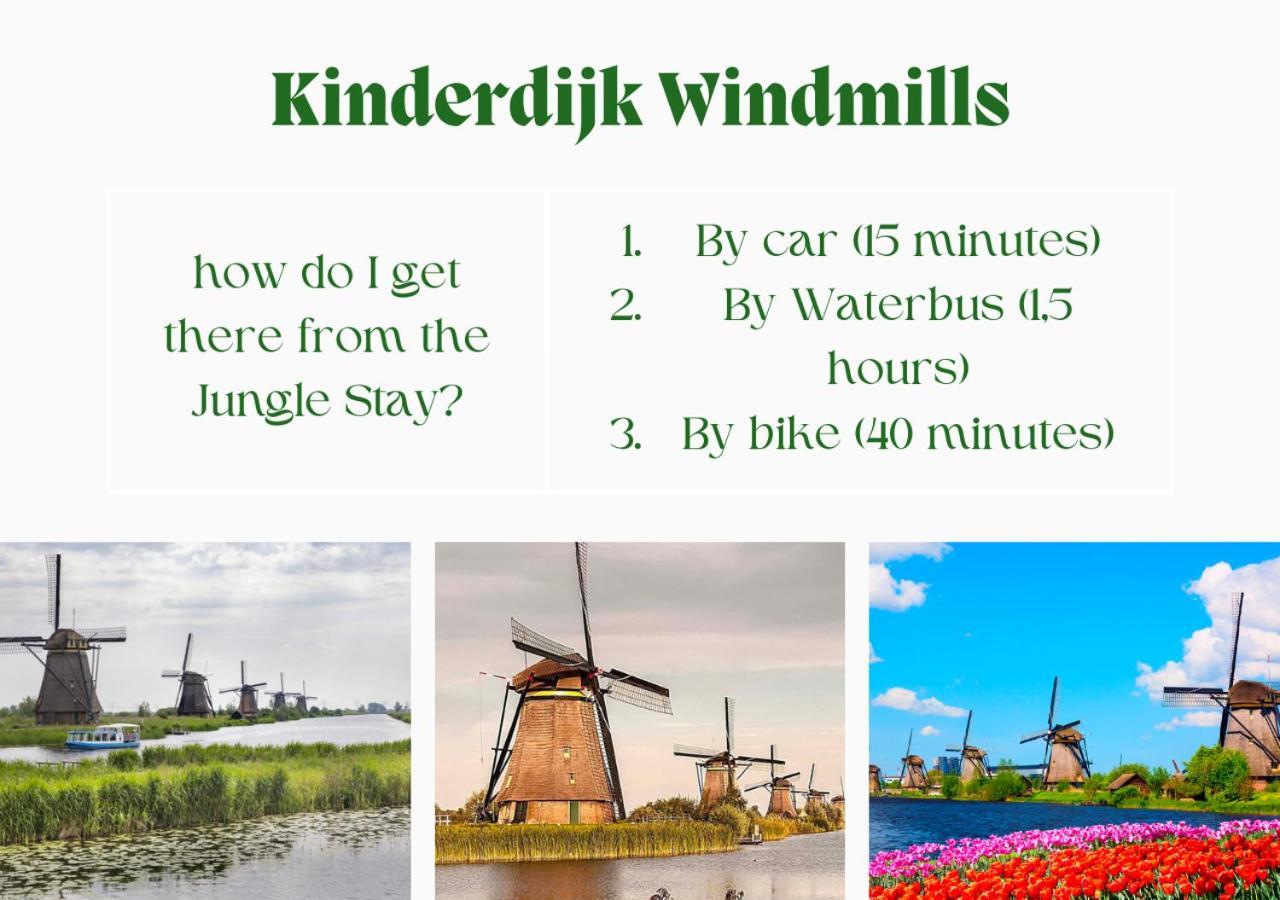 Jungle Stay In A Hidden Paradise Zwijndrecht Exteriér fotografie